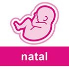 Витамины Orthomol Natal